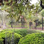 La Cruz Del Sur *